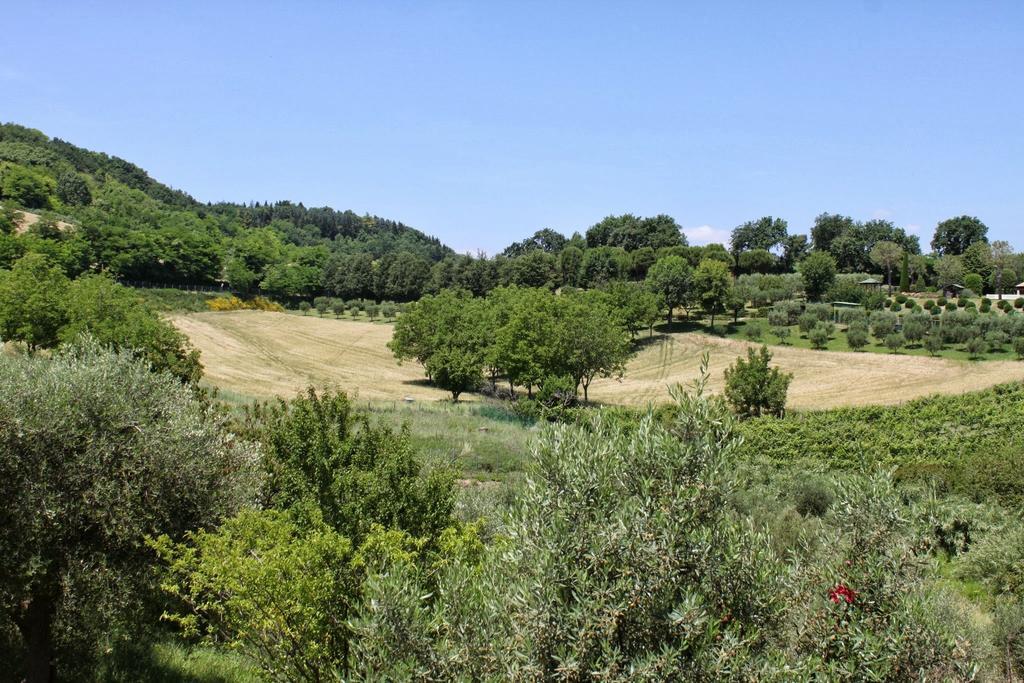 Villa Melagrana Fano Camera foto
