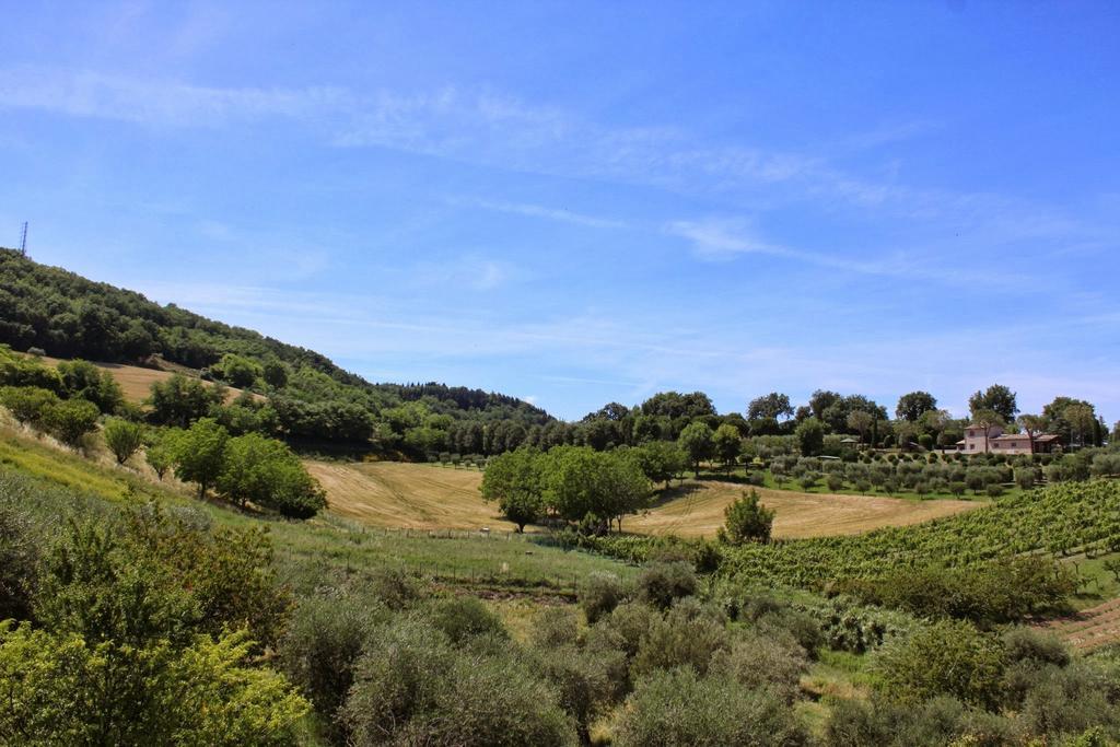 Villa Melagrana Fano Camera foto